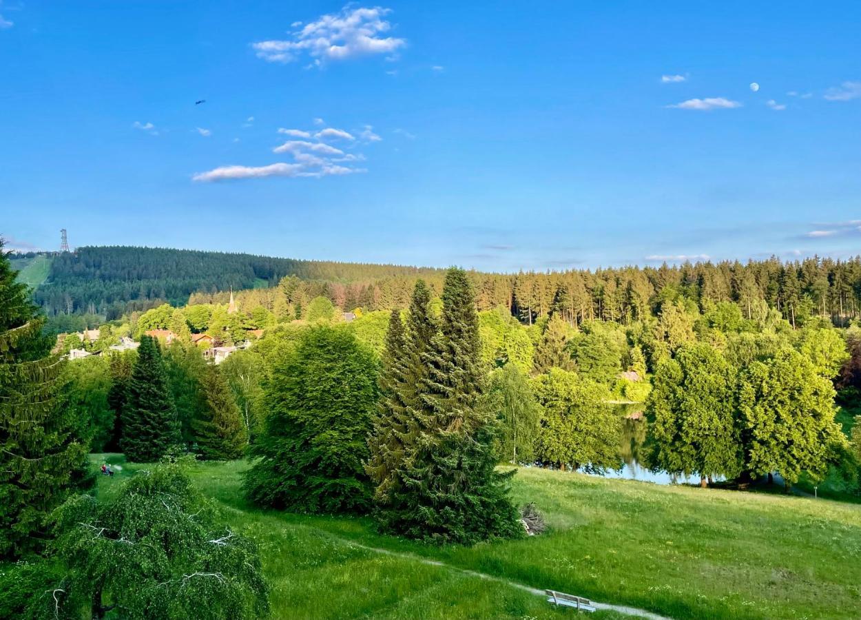 Ferienwohnung Harzurlaub Goslar Ngoại thất bức ảnh